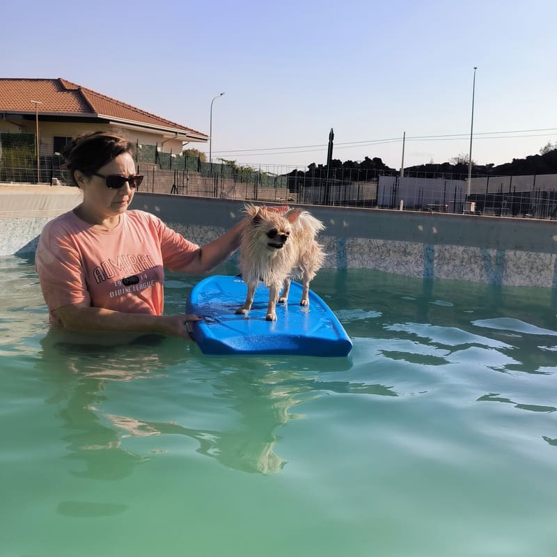 chiuhauhau in piscina